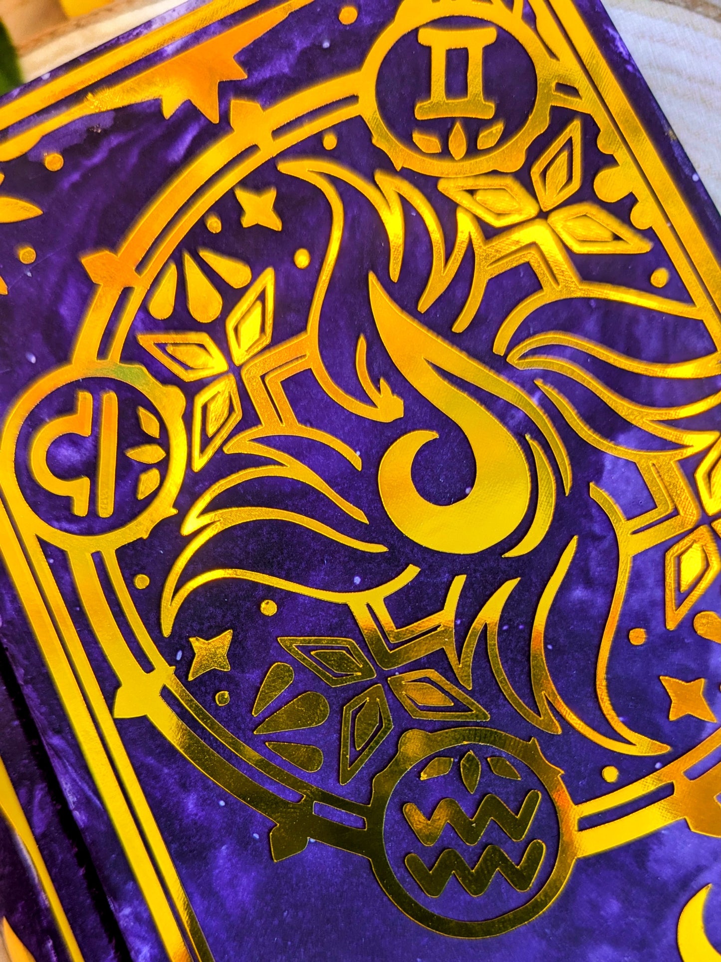 House Aer Book Trinket Box - Officially Licensed Zodiac Academy