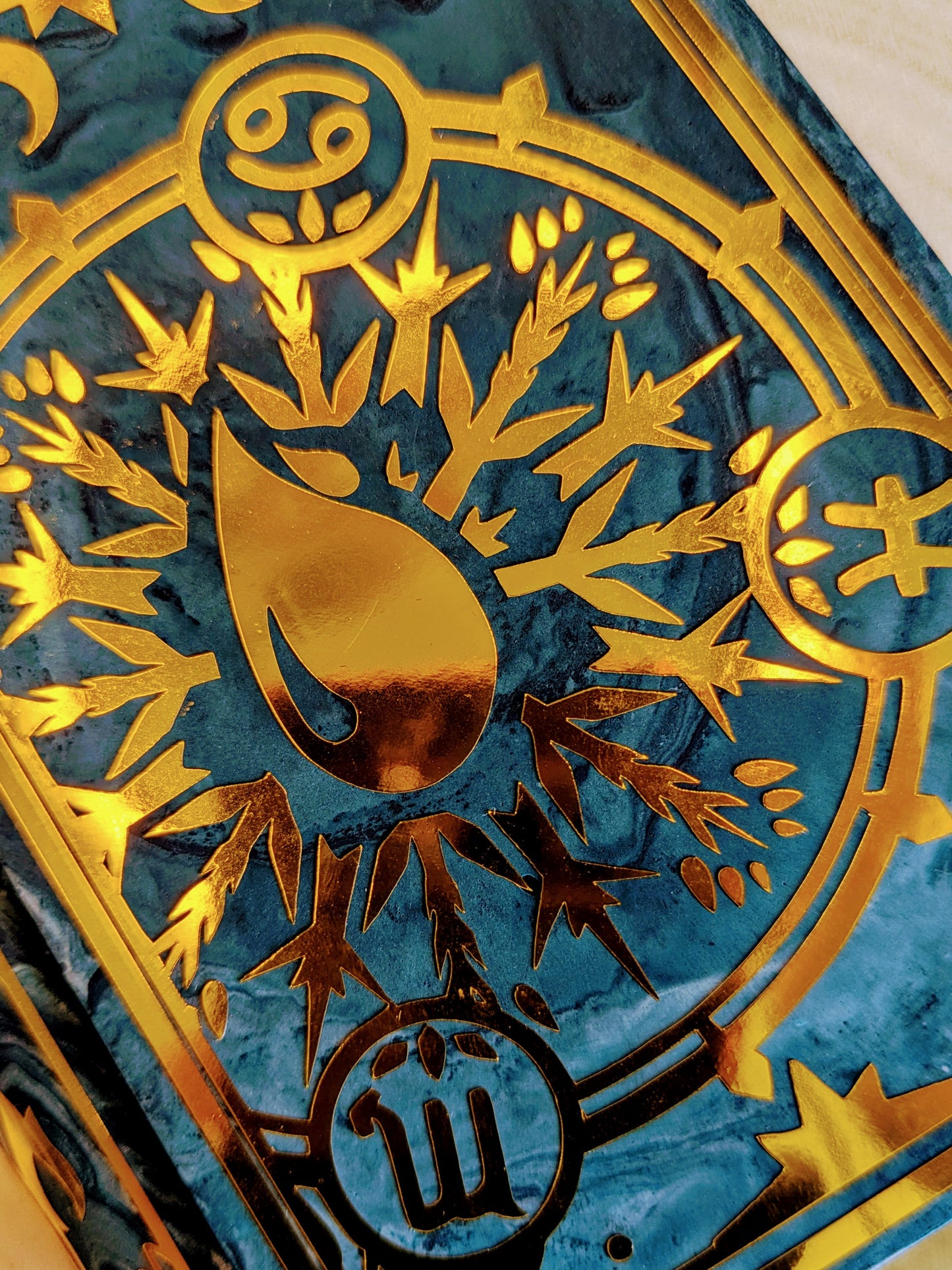 House Aqua Book Trinket Box - Officially Licensed Zodiac Academy