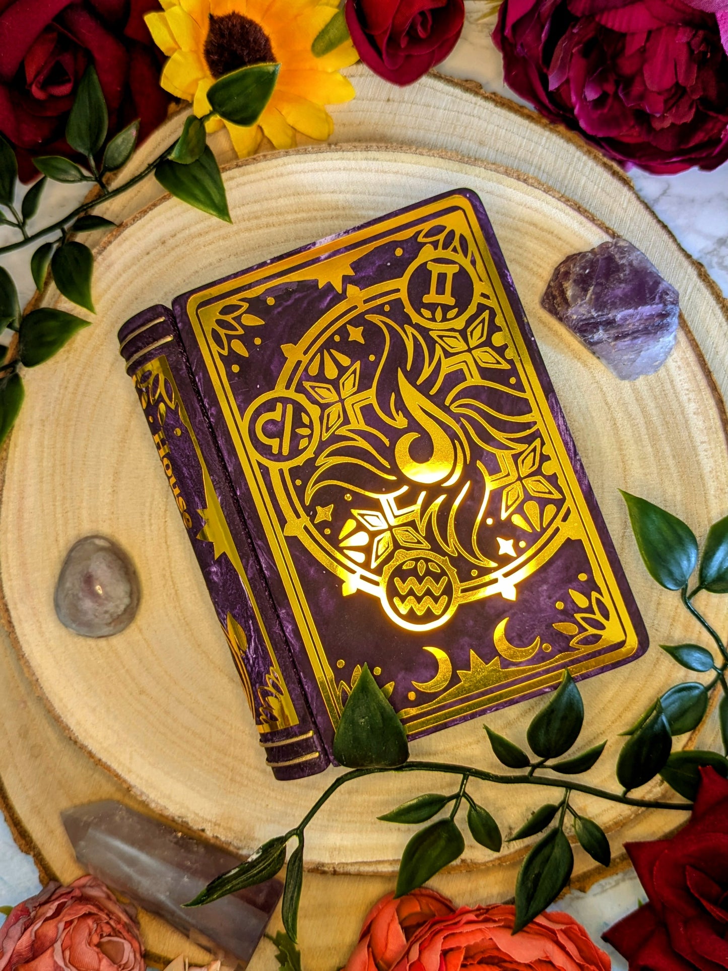 House Aer Book Trinket Box - Officially Licensed Zodiac Academy