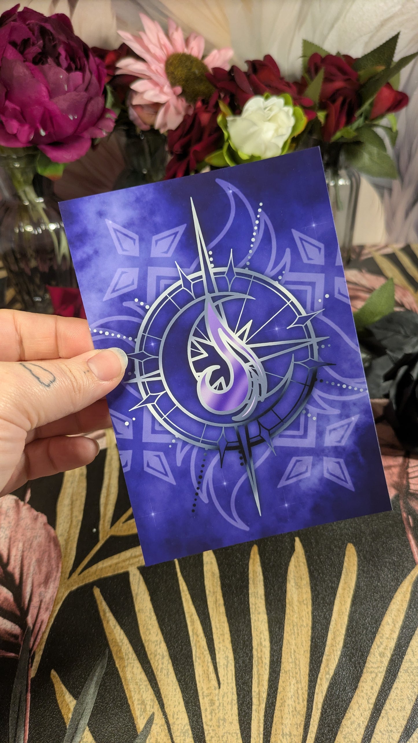 House Aer Zodiac Academy Full Set - Officially Licensed Twisted Sisters Merch