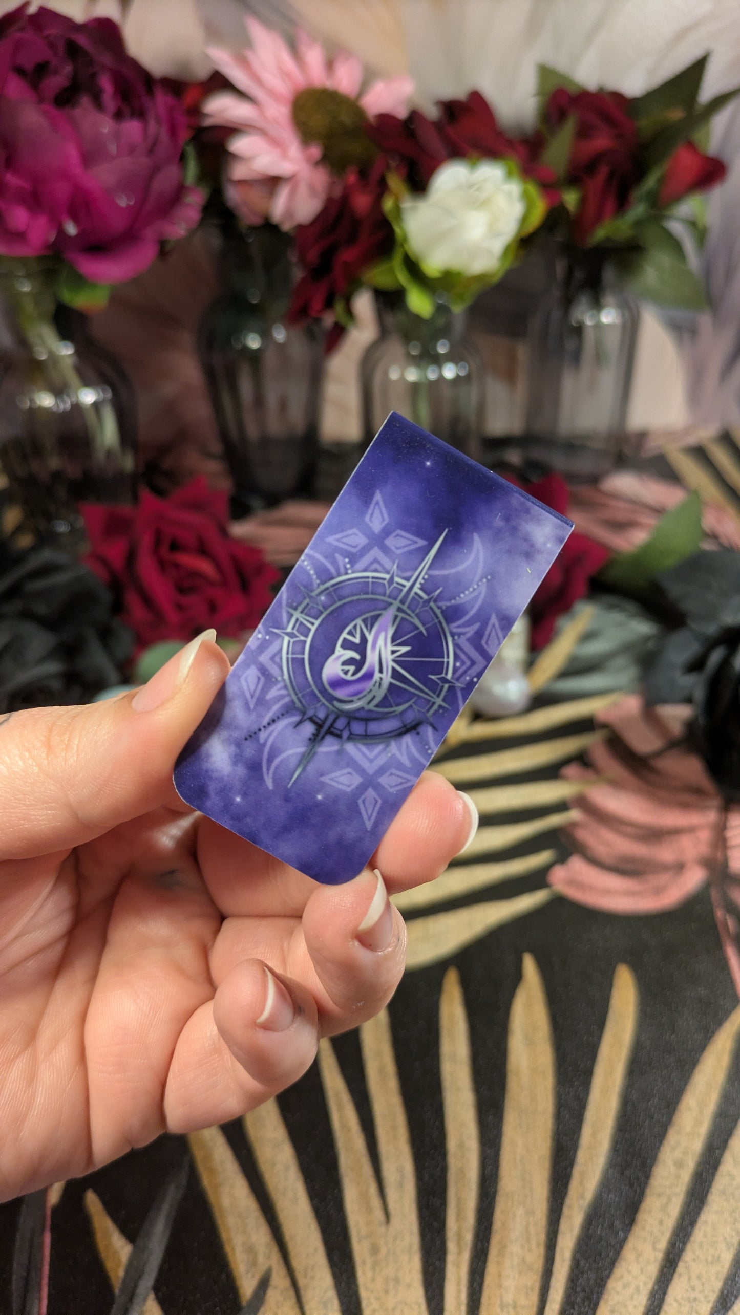 House Aer Zodiac Academy Full Set - Officially Licensed Twisted Sisters Merch